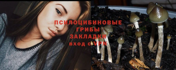 шишки Балабаново