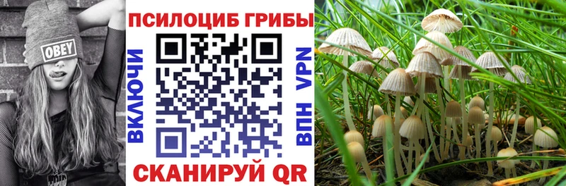 Псилоцибиновые грибы прущие грибы Ликино-Дулёво